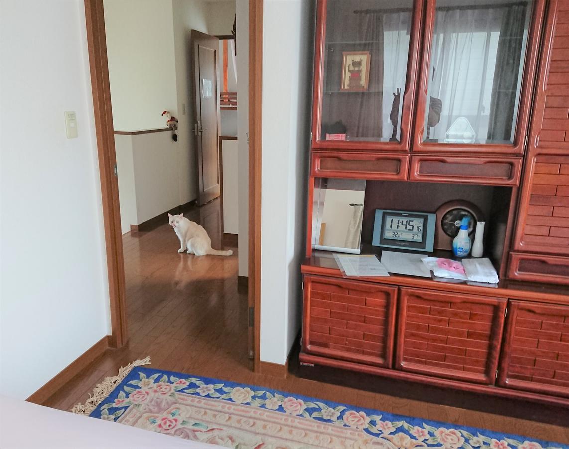 Guesthouse Gifu Suai Esterno foto